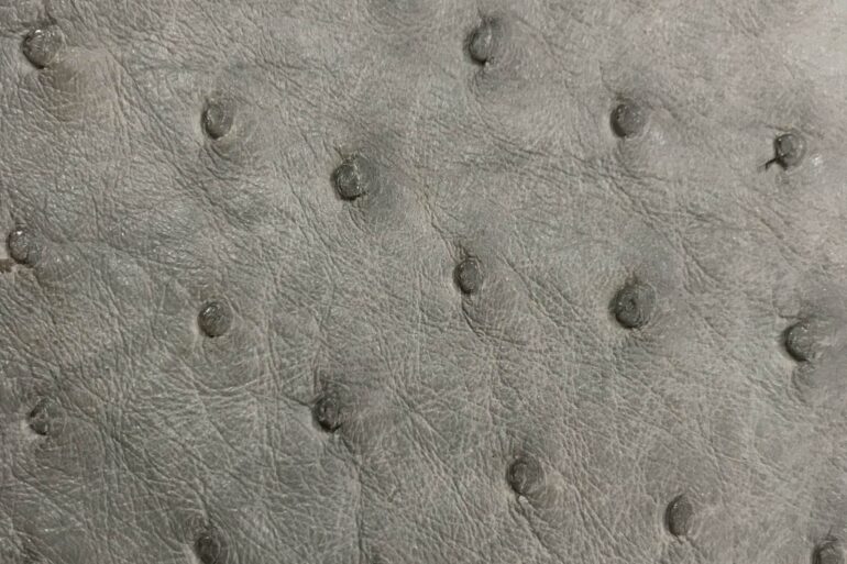 Ostrich Leather