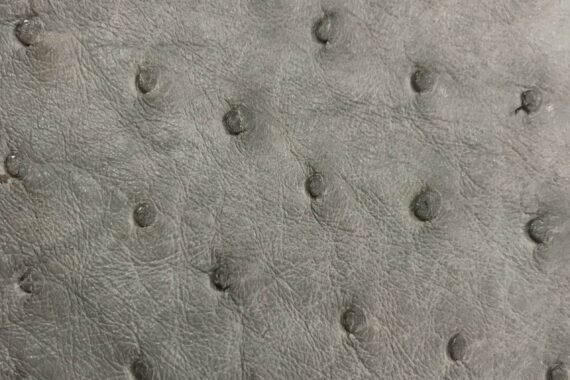 Ostrich Leather