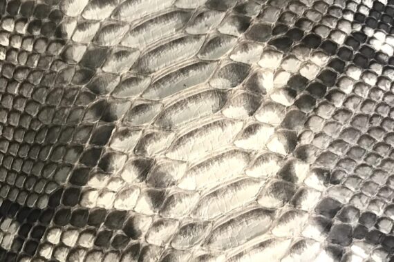 python leather