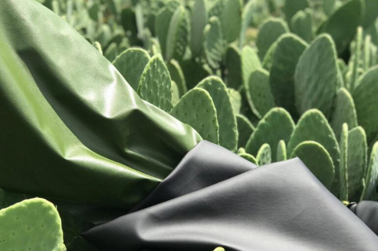 Plant-based Leather Has Rising